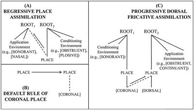 Detargeting the target in phoneme detection: aiming the task at phonological representations rather than backgrounds